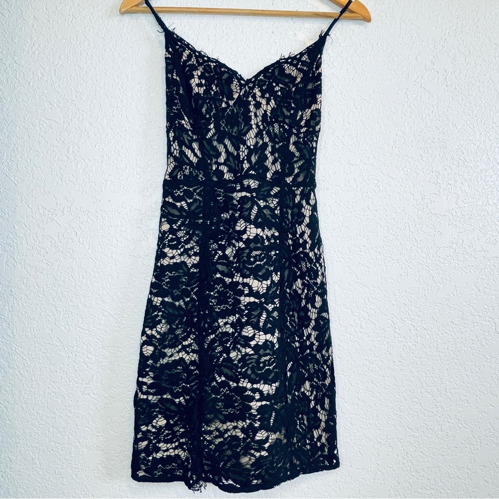 Lulu’s | You Have Good Taste Black Lace Bodycon Mini Dress - Picture 4 of 11